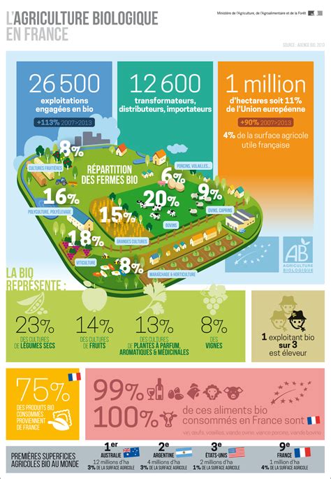 Undefined Educational Infographic Infographic Infographic Layout