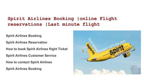 Spirit Airline Booking Phone Number | Spirit airlines, Airline booking ...