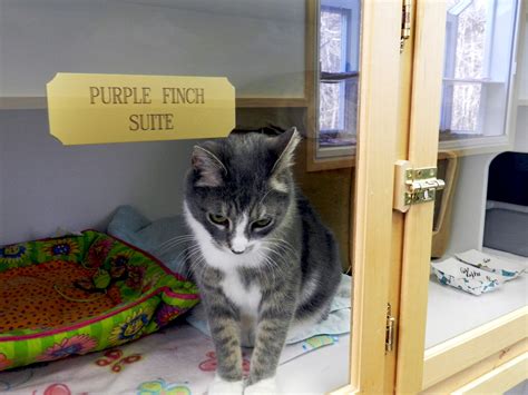 muddy creek animal hospital 5