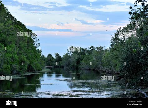 Pace Island View Stock Photo Alamy