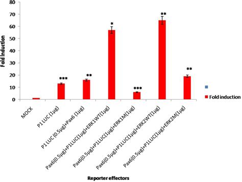 The diagrammes represents the luciferase reporter assay of different ...