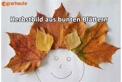 Kastanien Bl Tter Und Co Basteln Im Herbst Agrarheute