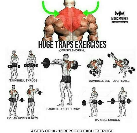 Traps Exercise Traps Workout Shoulder And Trap Workout Gym Workout