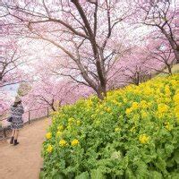 Zack Cooley On Twitter People Who Hate Sex Scenes Are Why Desantis Is Ruining America Cum