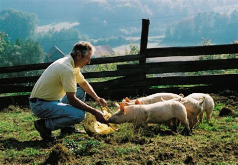 Vorteile Der Biologischen Landwirtschaft