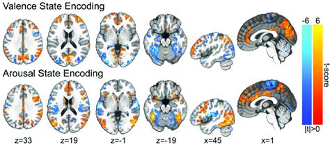 Group Level Encodings Of Affective State Processing Color Gradations Download Scientific