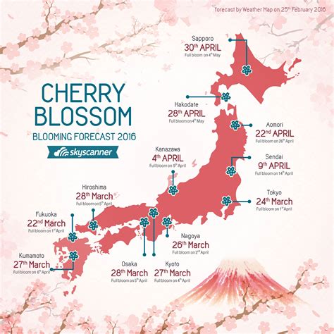 Your Guide to Japan's Cherry Blossom Season - WanderLuxe
