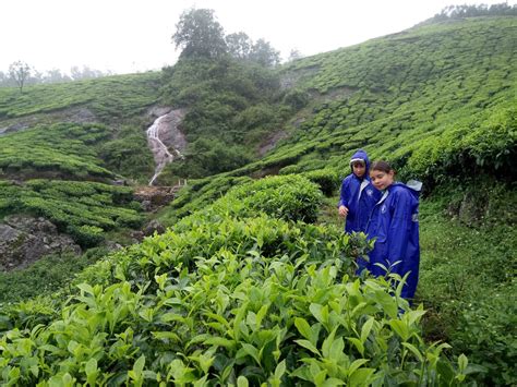Munnar Jeep Safari Jeep Safari In Munnar Off Road Safari Munnar