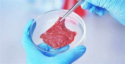 Lab Grown Meat And Food Technology Benefits Vs Dangers Dr Axe