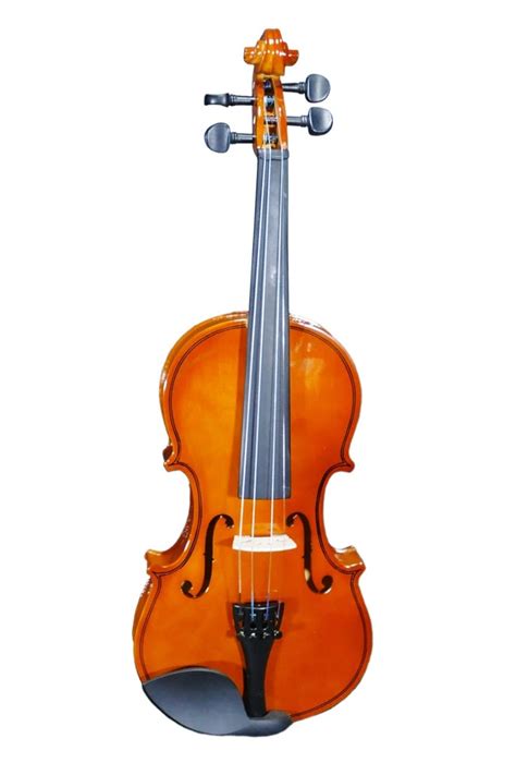 violin