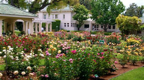 Botanical Gardens in Pasadena | Visit Pasadena