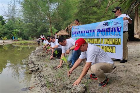 Pgn Tanam Pohon Mangrove Di Objek Wisata Pandan Alas Lampung