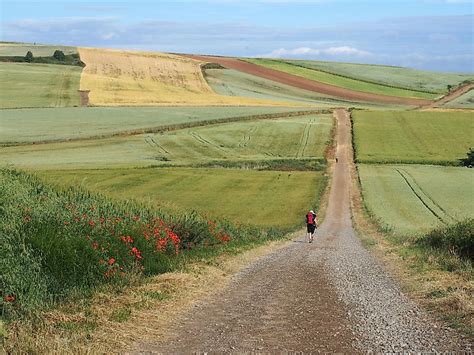 The Classic Routes of the Camino de Santiago - WorldAtlas