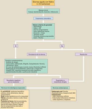 Protocolo diagnóstico de la diarrea aguda con fiebre Medicine
