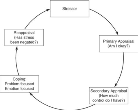 Theories Of Stress And Coping Flashcards Quizlet