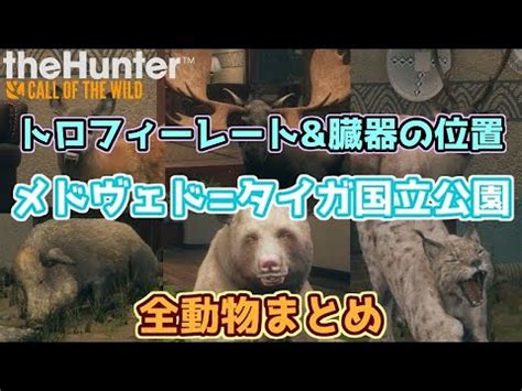 Thehunter Call Of The Wild Youtube