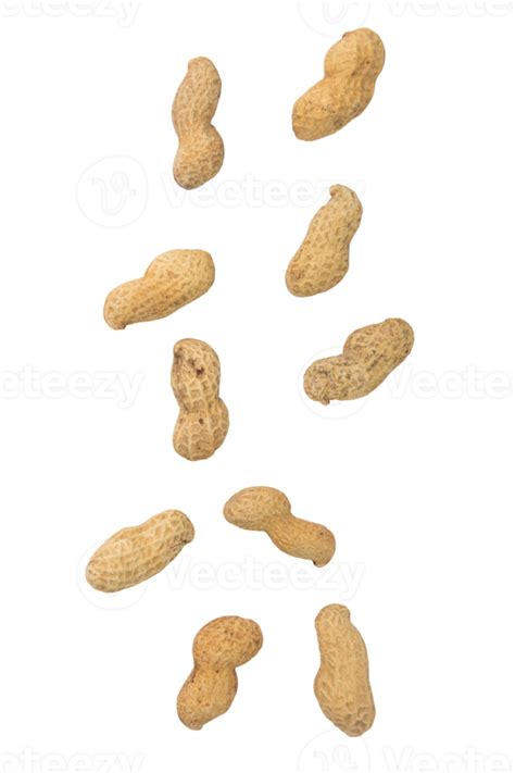 Falling Peanuts Cutout Png File 8519468 Png