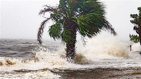 Hurricane Michael damage: PHOTOS - 6abc Philadelphia