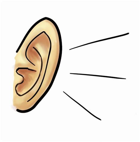 Cartoon Ears Clipart Best