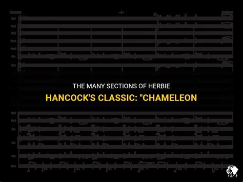 The Many Sections Of Herbie Hancock's Classic: "Chameleon | PetShun