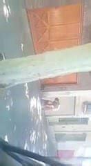 Bebados Na Rua Sexo Brazilian Amateur Porn XHamster