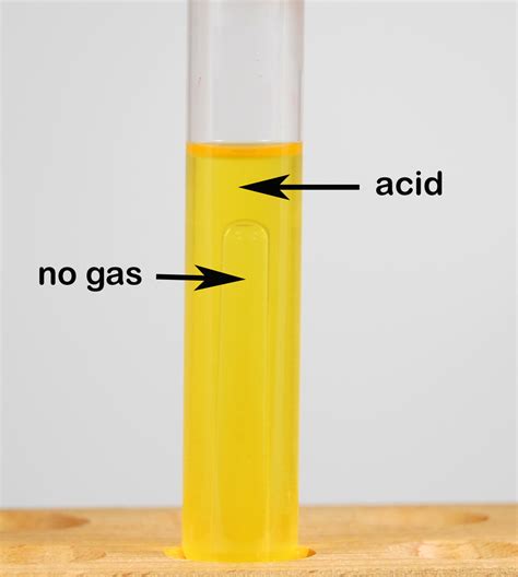 Biol Lab Manual Acid End Producte From Carbohydrate Fermentation