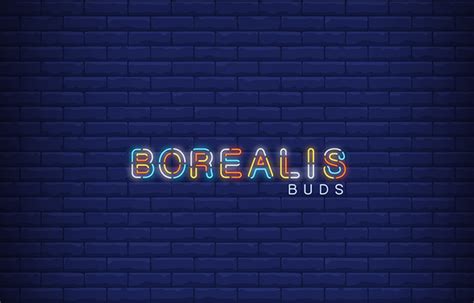 Borealis Logo Design :: Behance