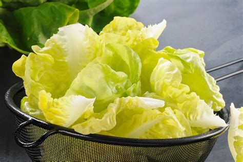 Le Cœur de laitue mon marché fr