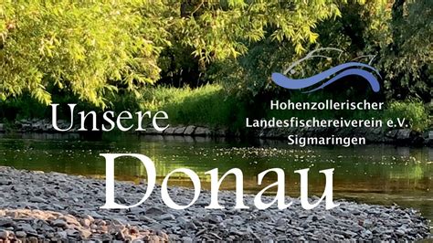 Fischen Obere Donau Bei Sigmaringen Hohenzollerischer Landesfischerei