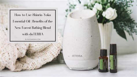 How To Use Shinrin Yoku Essential Oil Benefits Of The New Forest