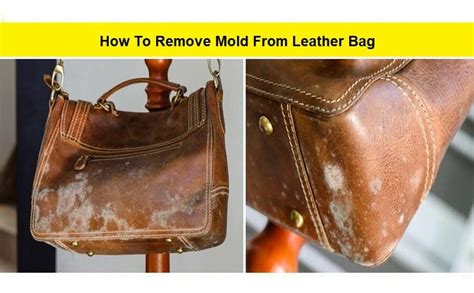How Do You Remove Mold From Leather Coats At Russell Shriver Blog