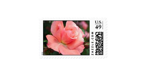 Pink Rose Postage Stamp Zazzle