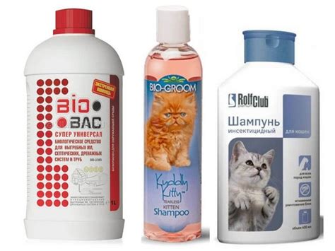 Как выбрать шампунь против блох для кошек и котят. Обзор наиболее ...