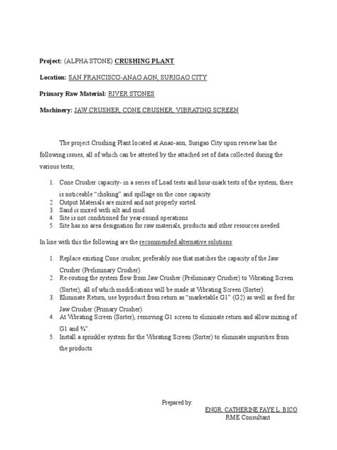 Preliminary Report Pdf