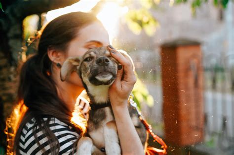 Local Spotlight Kind Hands 4 Paws Zanesville Toyota