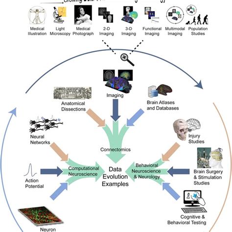 Evolution Of Data Types 21 The Evolution Of Data Types In The