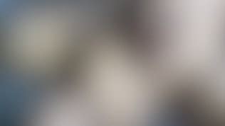 Hot Brunette Ride on Huge Dick of Her Friend and Make Sensual Blowjob Vidéos Porno