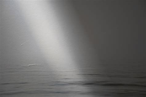 Canteen Magazine S Naked Judging Mary Ellen Bartley Lenscratch