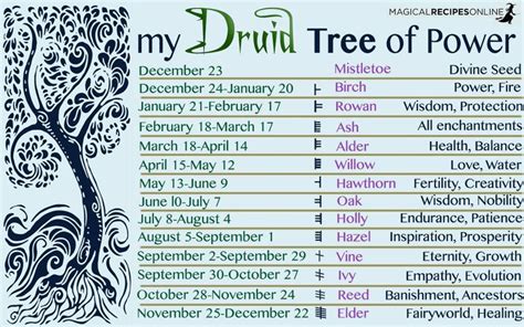 Pin By Dene Payan On Pagan Celtic Astrology Magical Tree Celtic Tree Astrology