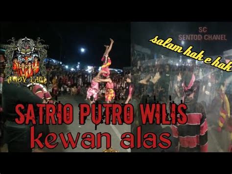 Prabu Bujang Ganong Dan Kewan Alas Satrio Putro Wilis Live Desa Ringin