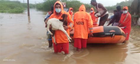 India Hundreds Displaced By Floods In Tamil Nadu Floodlist