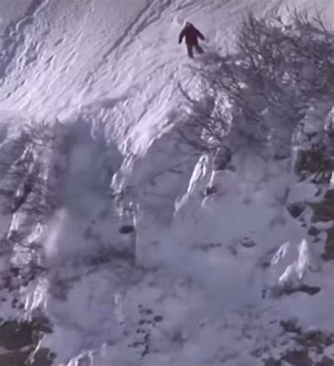 tolks  twitter left   httpstcoqytdxbrs twitter