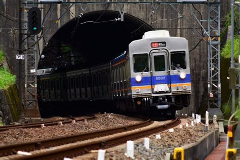 papa raillab