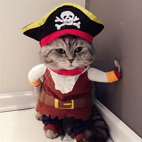 Disfraces De Halloween Para Gatos Terror Ficamente Adorables