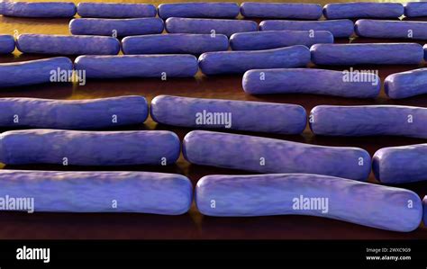 Bacteria Del ántrax Fotografías E Imágenes De Alta Resolución Alamy