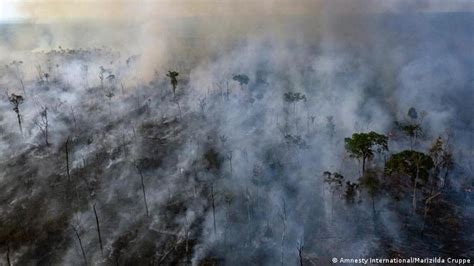 Amazonía En Llamas El Daño Puede Ser Irreversible Brasil En Dw Dw