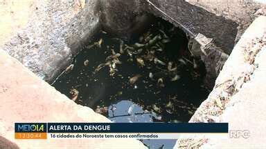 Meio Dia Paran Noroeste Moradora Encontra Larvas Da Dengue Em