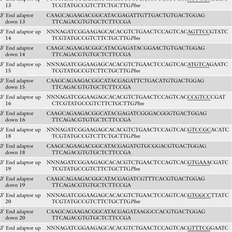 List Of Rt Primers Containing Barcode Download Scientific Diagram
