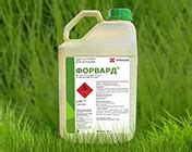 Форвард, МКЭ - купить в Минске, цена