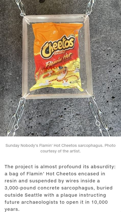 Mm Sunday Nobody S Flamin Hot Cheetos Sarcophagus Photo Courtesy Of The Artist The Project Is